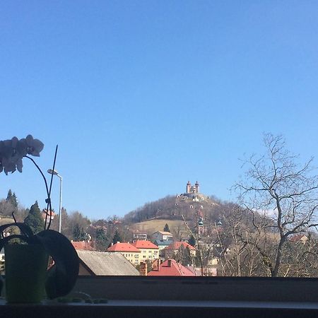 Apartman Stare Mesto Banská Štiavnica Dış mekan fotoğraf